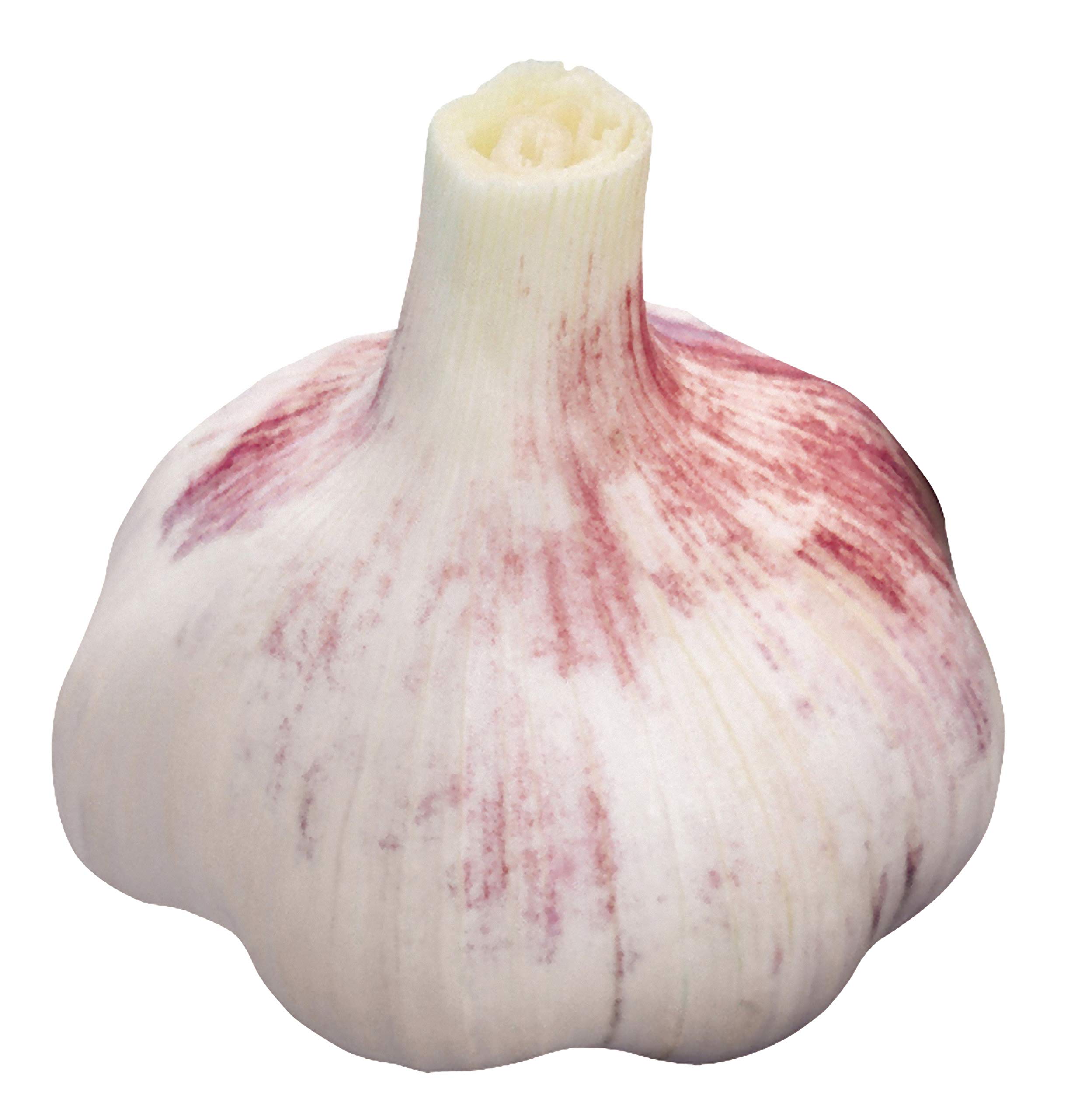 皮むき オレンジピーラー 皮むき器 簡単皮抜き オレンジカッター 柑橘類